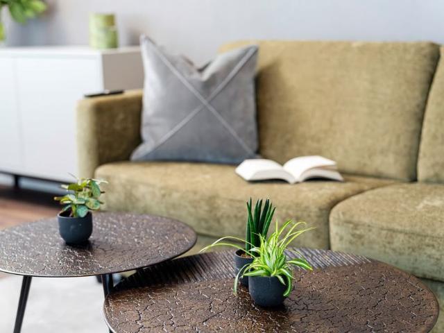Apartment mieten in Cham, Zug