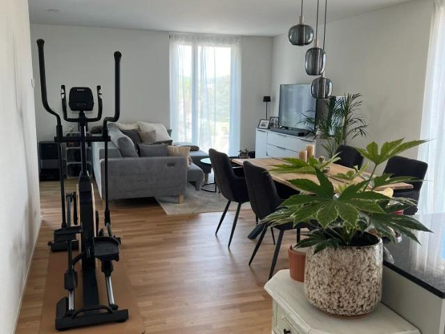 Apartment mieten in Gebenstorf, Aargau
