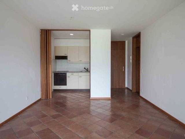Apartment mieten in Melide, Tessin