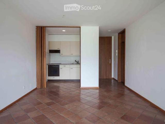 Apartment mieten in Melide, Tessin