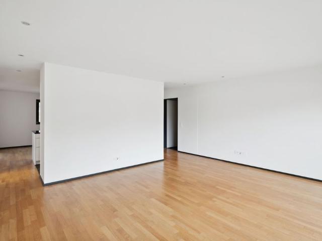 Apartment mieten in Sissach, Bezirk Sissach