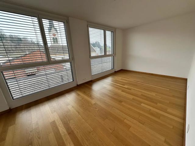 Apartment mieten in Menznau, Lü