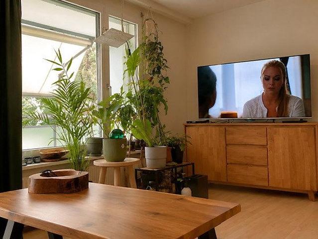 Apartment mieten in Lü