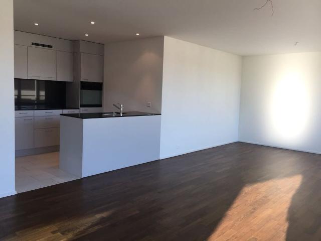 Apartment mieten in Villmergen, Aargau
