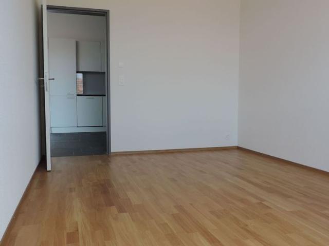 Apartment mieten in Schönenwerd, Solothurn
