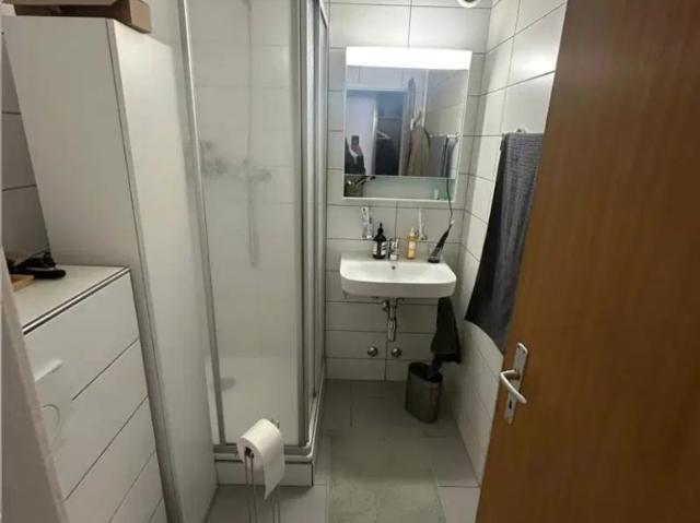 Apartment mieten in Carouge (GE)