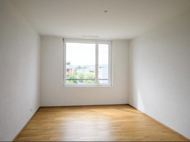 Apartment mieten in Usserdorf, Buchs (AG)