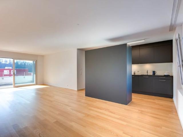 Apartment mieten in Döttingen, Aargau