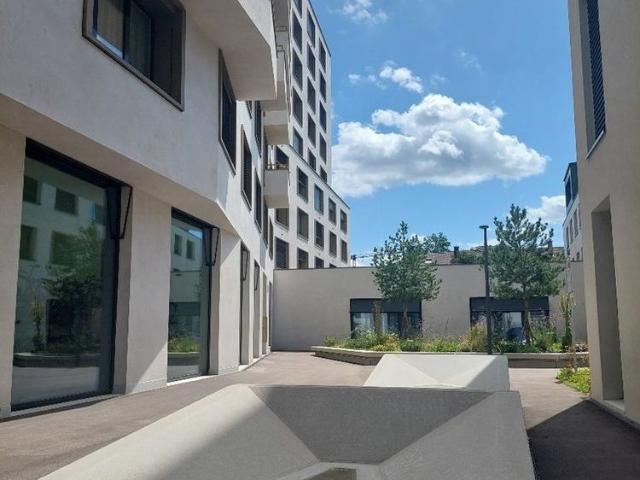 Apartment mieten in Einigen, Zürich