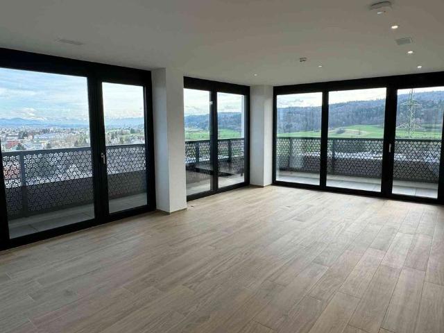Apartment mieten in Dübendorf, Zürich