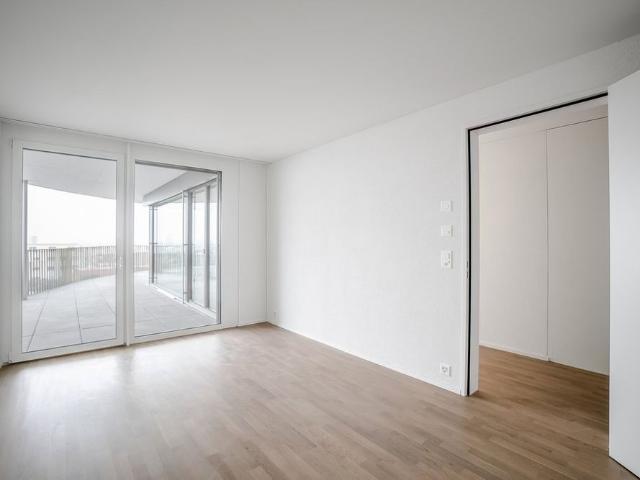 Apartment mieten in Lenzburg, Aargau