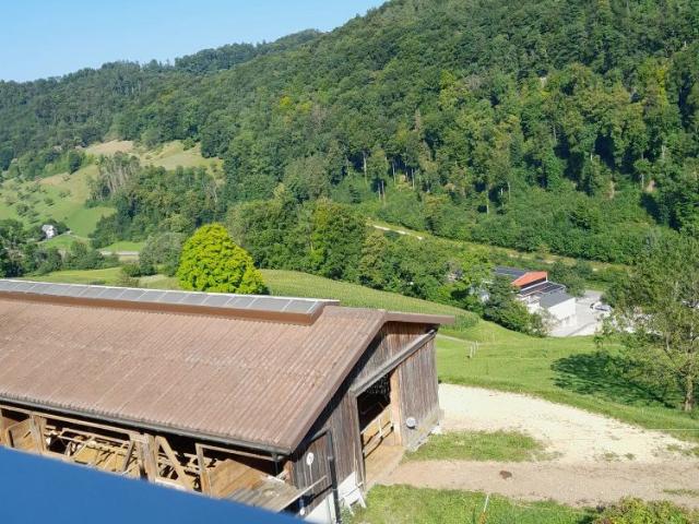 Apartment mieten in Reigoldswil, Basel-Landschaft