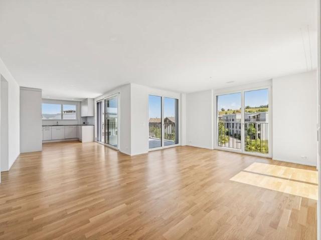 Apartment mieten in Wädenswil, Zürich