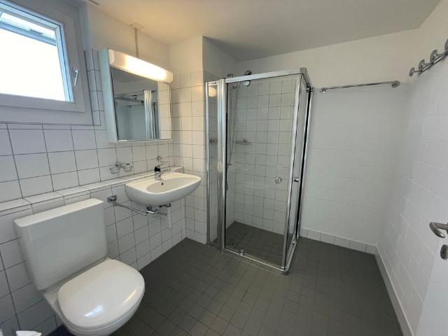 Apartment mieten in Wädenswil, Zürich