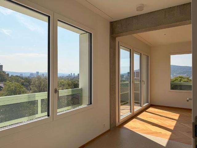 Apartment mieten in Höngg, Zürich