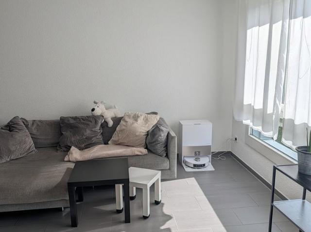 Apartment mieten in Aarau, Bezirk Aarau