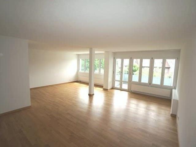 Apartment mieten in Uster, Zürich