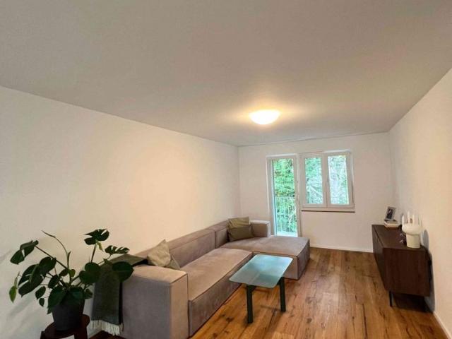 Apartment mieten in Dietikon, Zürich