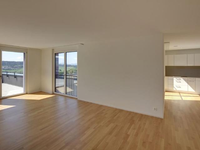 Apartment mieten in Zumikon, Zürich