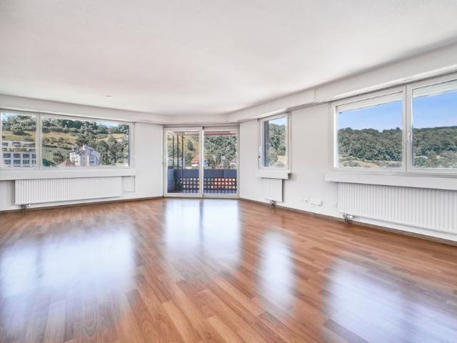 Apartment mieten in Baden, Aargau