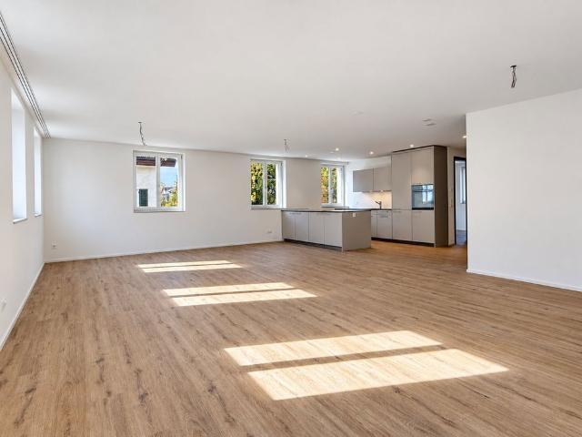 Apartment mieten in Blumenau, Winterthur
