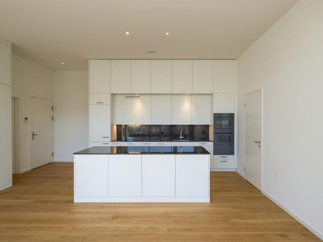 Apartment mieten in Baden, Aargau