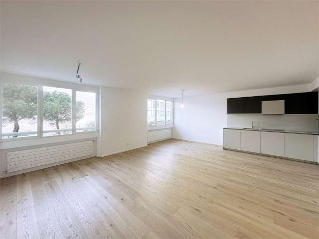 Apartment mieten in Paradiso, Tessin