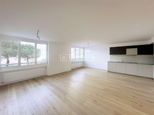 Apartment mieten in Paradiso, Tessin