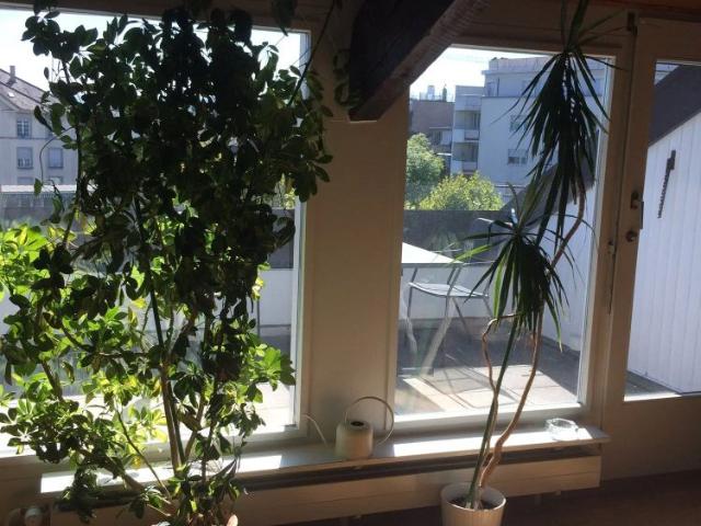 Apartment mieten in Basel, Basel-Stadt
