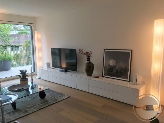 Apartment mieten in Feld, Thalwil