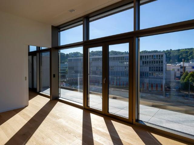 Apartment mieten in Baden, Aargau