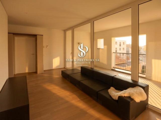 Apartment mieten in Molino Nuovo, Lugano