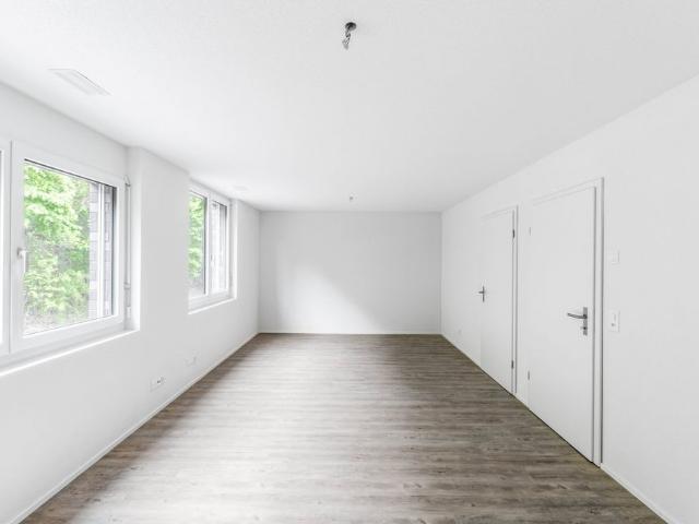 Apartment mieten in Trimbach, Solothurn