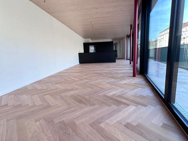 Apartment mieten in Einigen, Zürich
