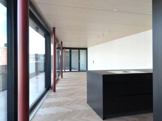 Apartment mieten in Unterstrass, Zürich