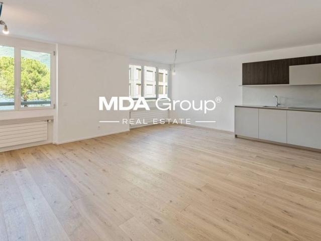 Apartment mieten in Paradiso, Tessin