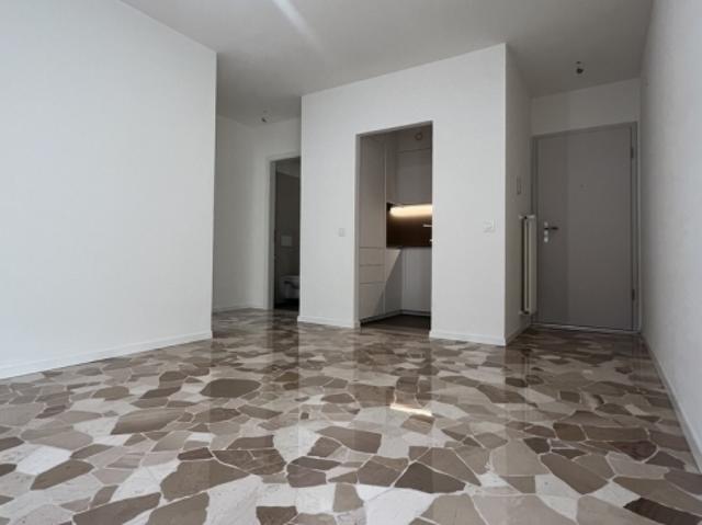 Wohnung mieten in Paradiso, Distretto di Lugano