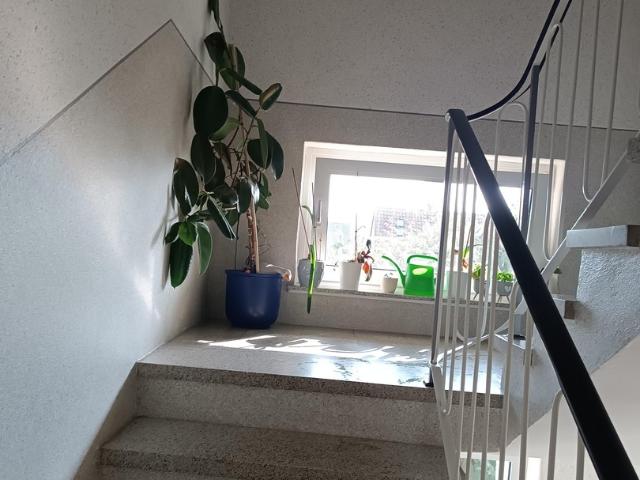 Wohnung kaufen in Wennigsen, Niedersachsen