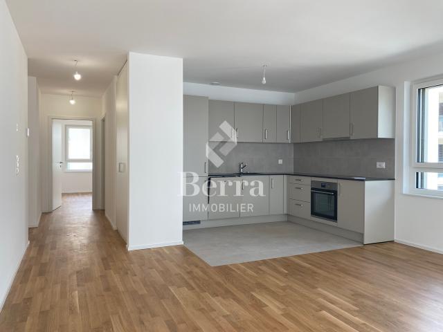 Wohnung mieten in Les Mayens-de-Sion, Wallis