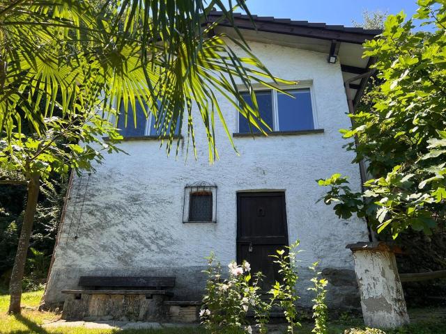 Immobilie kaufen in Gerra, Gambarogno, Tessin