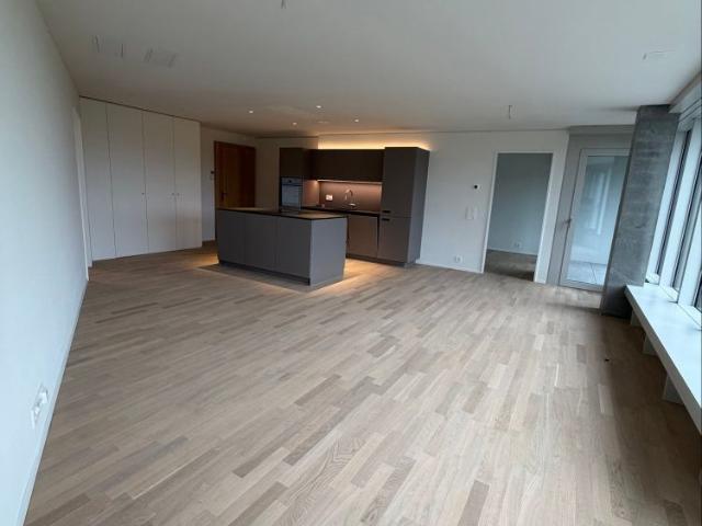 Apartment mieten in Kriens, Lü
