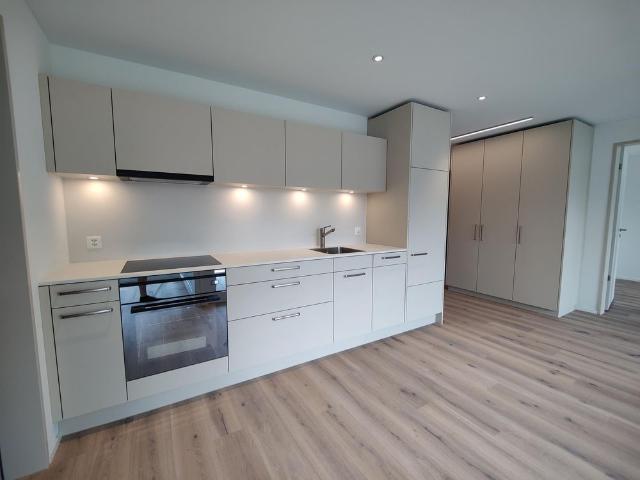 Apartment mieten in Rubisacher, Ingenbohl