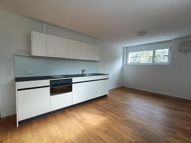 Wohnung mieten in Ballwil, Lü