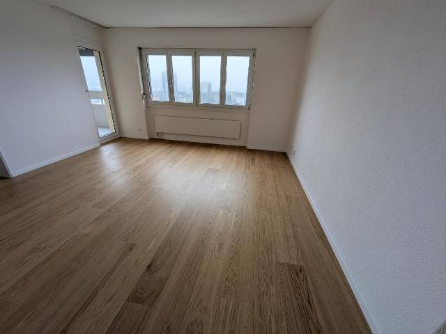 Wohnung kaufen in Lenzburg, Aargau
