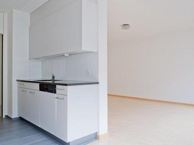 Wohnung mieten in Basel, Basel-Stadt