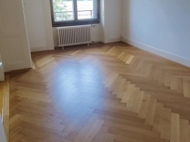 Wohnung mieten in Les Eaux-Vives, Genève