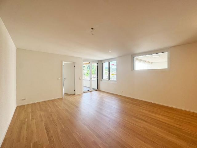Apartment mieten in Neuenhof, Bezirk Baden