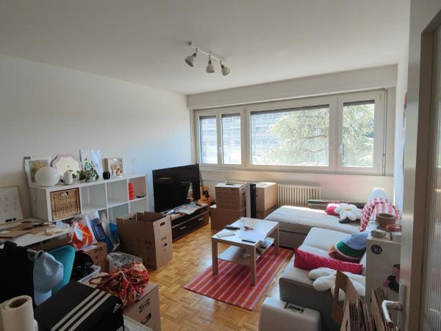 Wohnung mieten in Thônex