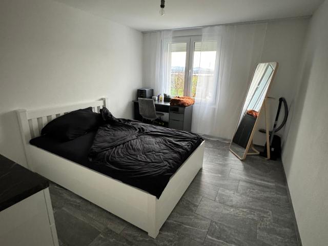 Apartment mieten in Fällanden, Zürich