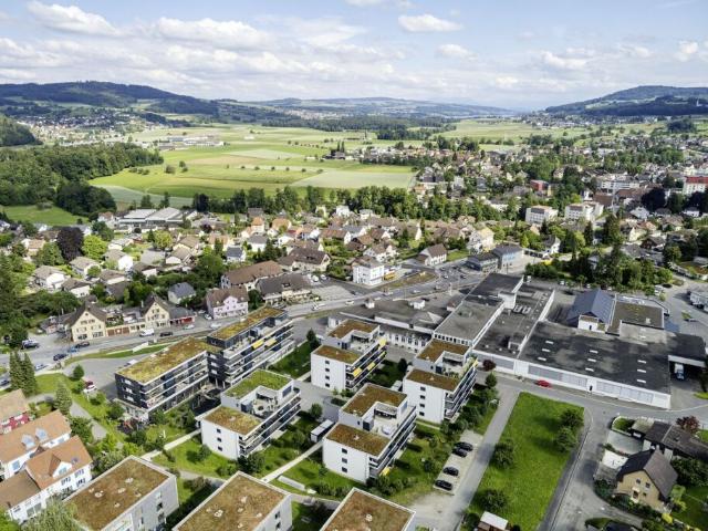 Wohnung mieten in Seon, Aargau